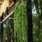 3PCS Artificial Succulents Hanging Plants (Green) 27.5"D x 5"W x 5"H